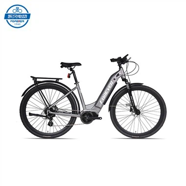 Sou entènèt jwèt Lady Road Ebike